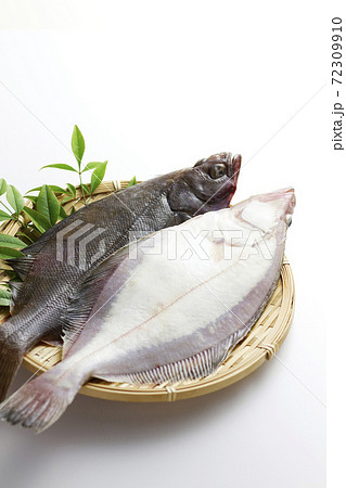 宗八カレイ22 72309910