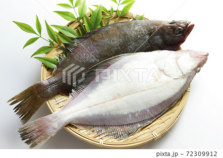 宗八カレイ24 72309912