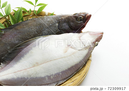 宗八カレイ29 72309917