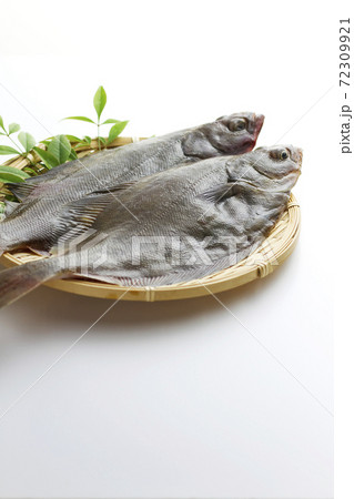 宗八カレイ4 72309921