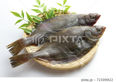 宗八カレイ5 72309922