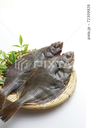 宗八カレイ7 72309926