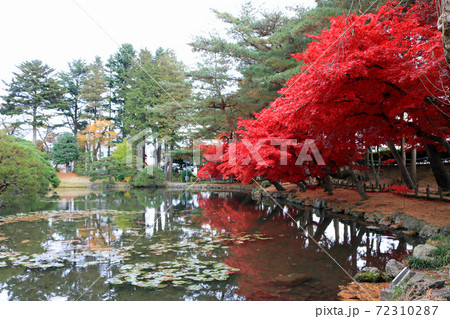 紅葉の旧南部氏別邸庭園 紅葉の旧南部氏別邸庭園 72310287