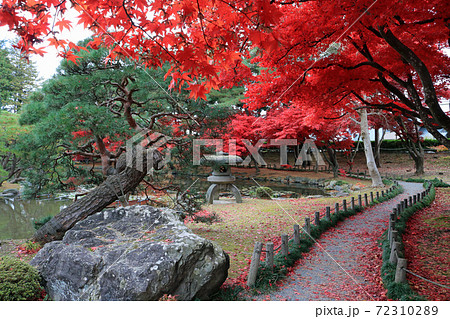 紅葉の旧南部氏別邸庭園 72310289