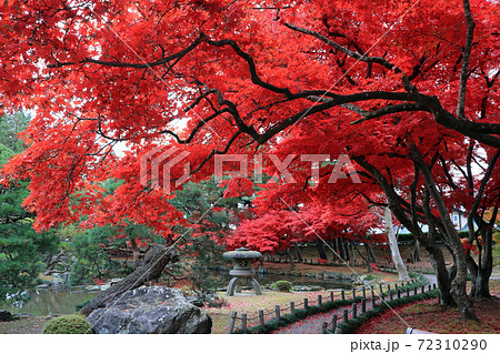 紅葉の旧南部氏別邸庭園 紅葉の旧南部氏別邸庭園 72310290