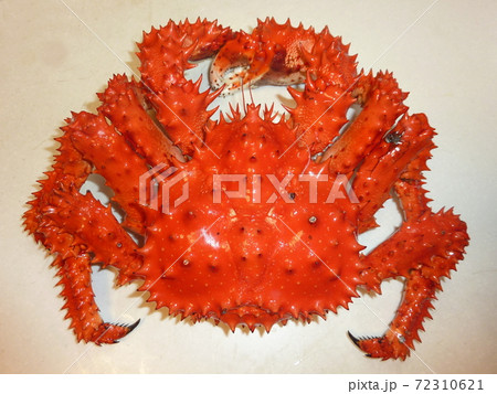 花咲ガニ 72310621