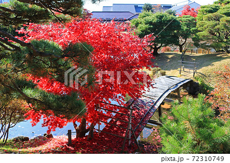 紅葉の旧南部氏別邸庭園 72310749