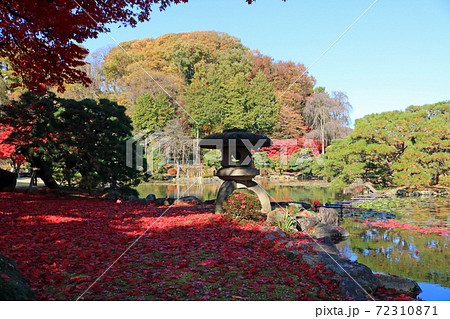 紅葉の旧南部氏別邸庭園 紅葉の旧南部氏別邸庭園 72310871