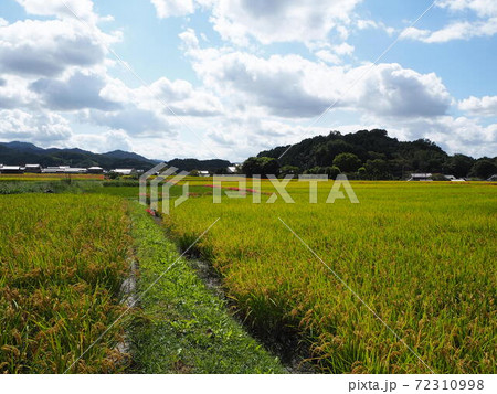 明日香村の絶景緑のあぜ道 明日香村の絶景緑のあぜ道 72310998