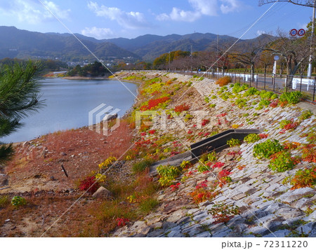 北山貯水池の秋と六甲山 72311220