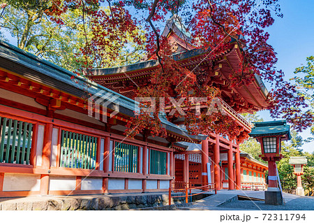 武蔵一宮氷川神社楼門紅葉 武蔵一宮氷川神社楼門紅葉 72311794