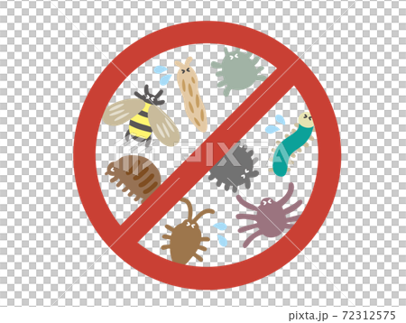 害虫駆除のイラスト 72312575