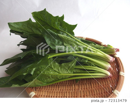 ほうれん草 野菜 植物 食材 栄養 ほうれん草 野菜 植物 食材 栄養 72313479