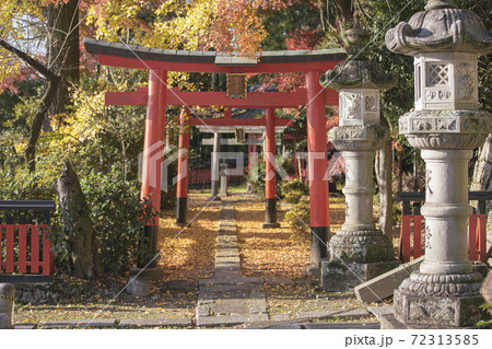 山崎聖天の黄葉 72313585