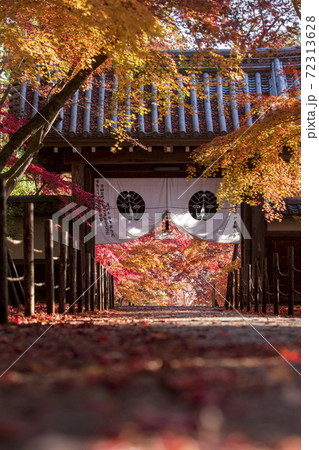 光明寺の紅葉 72313628