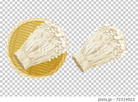 えのきたけのイラスト えのきたけのイラスト 72314023