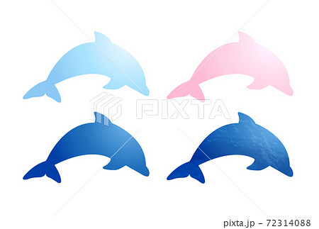 イルカのイラスト素材