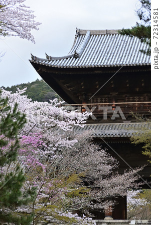 南禅寺　三門の桜 72314581