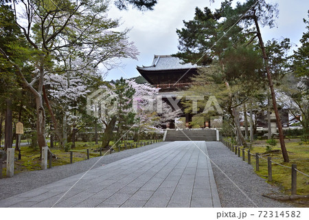 南禅寺 三門の桜 南禅寺 三門の桜 72314582
