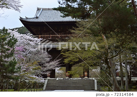 南禅寺　三門の桜 72314584