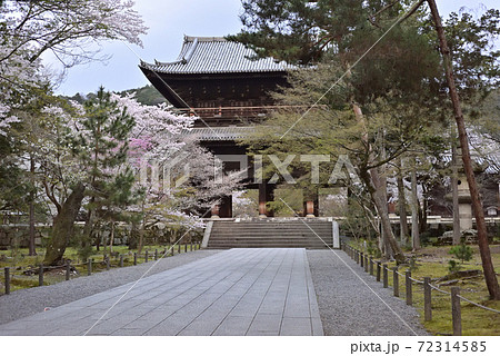 南禅寺　三門の桜 72314585