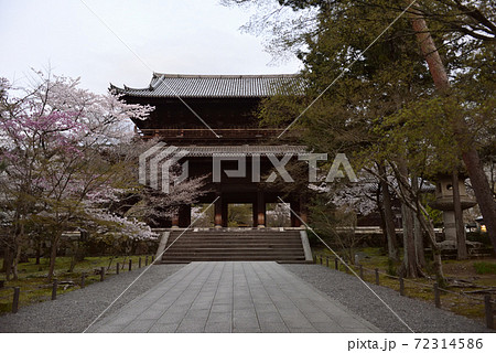 南禅寺　三門の桜 72314586
