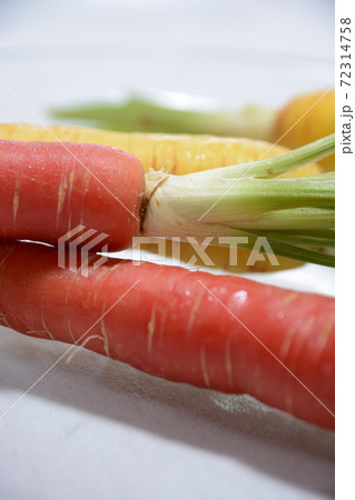 島にんじん 72314758