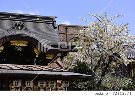 菅原院天満宮神社　桜 72315271