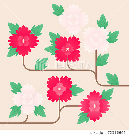 牡丹 花 背景のイラスト素材