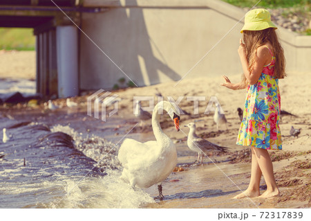 Girl playing with adult swan. 72317839