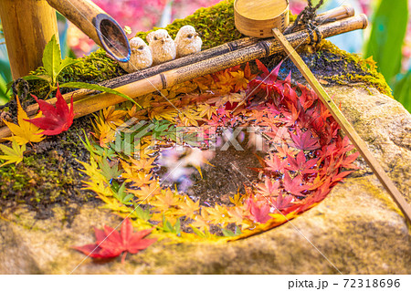 【秋】柳谷観音の花手水 72318696