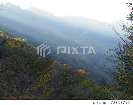 奈良県上北山村の秋 奈良県上北山村の秋 72318710