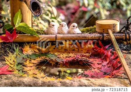 【秋】柳谷観音の花手水 72318715