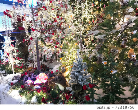 A festively decorated Christmas tree with bows, balls and garlands A festively decorated Christmas tree with bows, balls and garlands 72319756