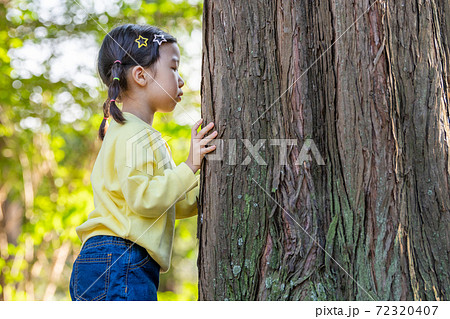 子供 木 森 72320407