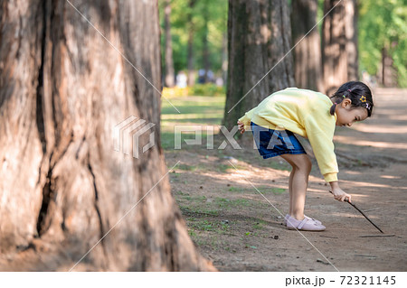 子供 木 公園 72321145
