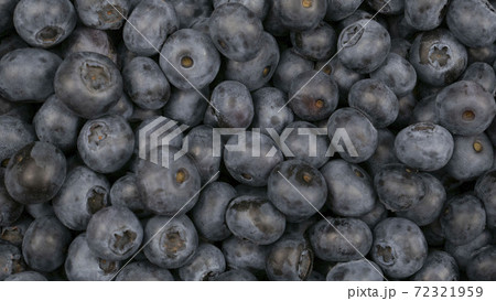 Raw blueberry background. 72321959
