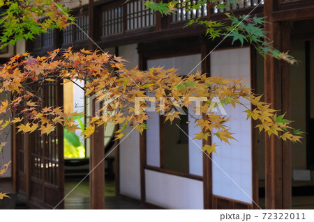 紅葉と小書院 72322011