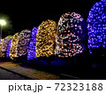 クリスマスツリー 72323188