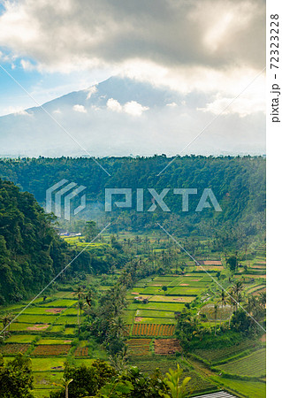 バリ島の田園風景 バリ島の田園風景 72323228