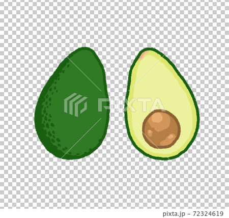 アボカドのイラスト 72324619