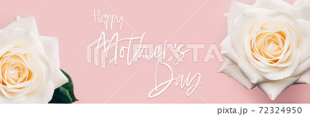 Beautiful big white rose Beautiful big white rose 72324950