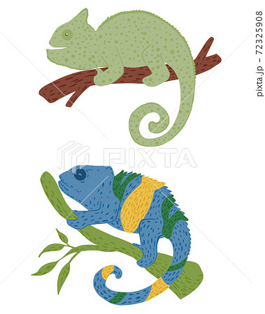 Set chameleons on twigs isolated on white background. Hand drawn cute wildlife cartoon character green and multicolor coloring. Set chameleons on twigs isolated on white background. Hand drawn cute wildlife cartoon character green and multicolor coloring. 72325908