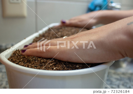 Woman handling soil on a plastic flowerpot while planting some herbs at home 72326184