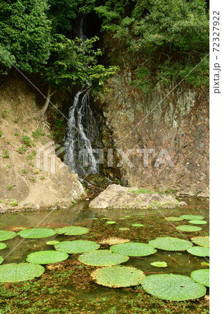 栗林公園43 72327922