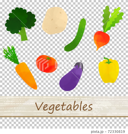 野菜のイラストセット 白背景 ベクター 切り抜き 水彩 のイラスト素材