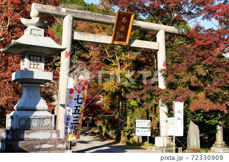 埼玉県 秩父御嶽神社 東郷公園の紅葉の写真素材