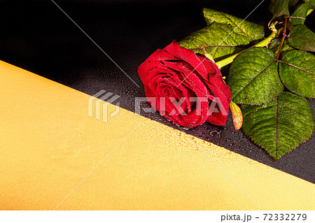 A bouquet of roses for the holiday. Women's day, Valentine's Day, name day. On a dark background with reflection. Copy space 72332279