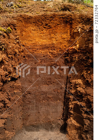Soil profile of a raised bog 72332764