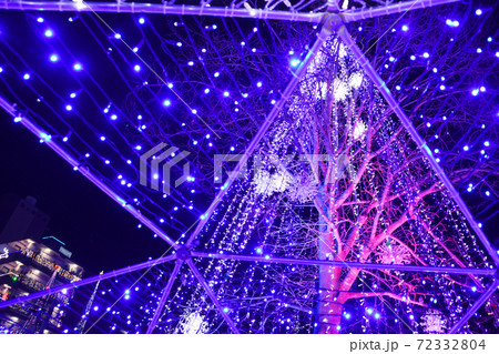 鹿児島市・天文館ミリオネーションのシンボルツリー 72332804